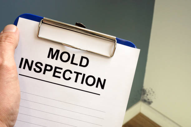 Best Indoor Air Quality Assessment  in Mount Carmel, IL